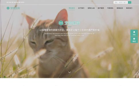 寵物醫院網站模板整站源碼-MetInfo響應式網頁設計制作