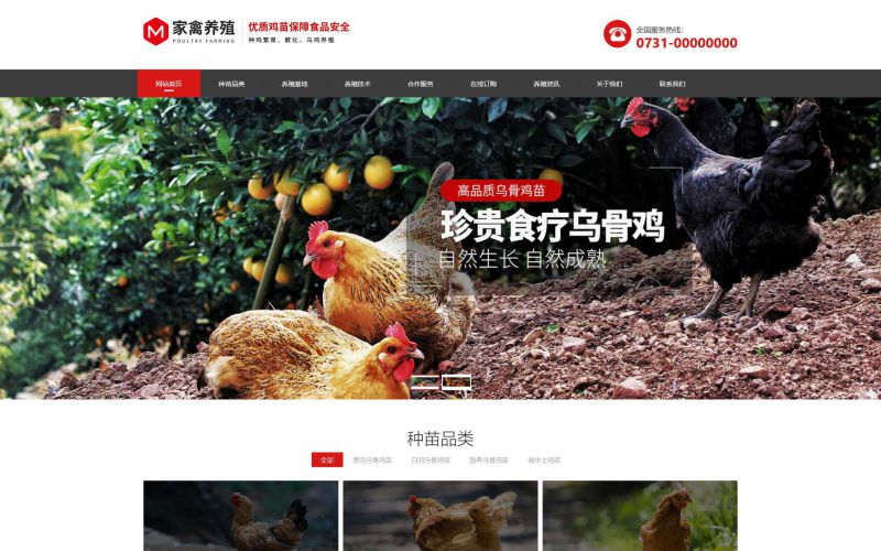 家禽養殖公司網站模板，家禽養殖公司網頁模板，家禽養殖公司響應式網站模板