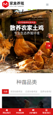 家禽養殖公司網站模板，家禽養殖公司網頁模板，家禽養殖公司響應式網站模板
