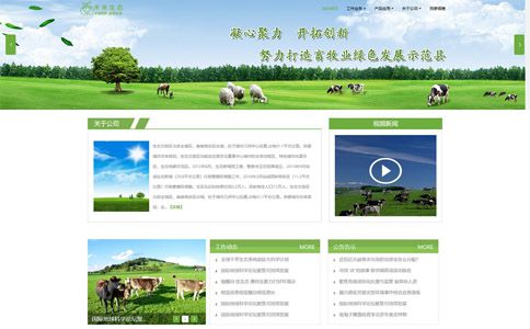 生态环境治理企业响应式网站模板